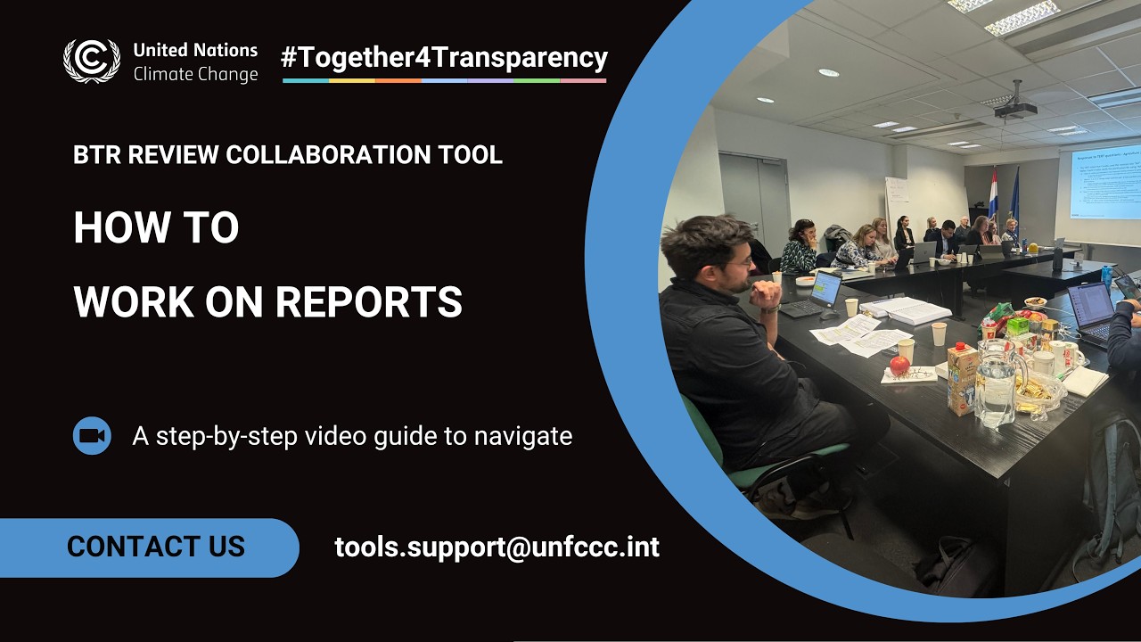 How to Work on Reports - BTR Review Collaboration Tool