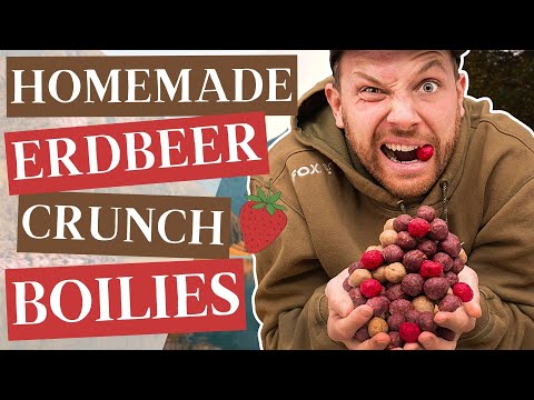 Fruity strawberry crunch boilies - Homemade boilies recipe!