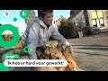Roy kweekt een biet van 37(!) kilo