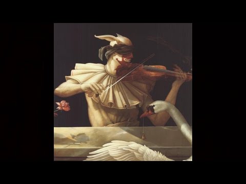Passacaglia Della Vita (Hostox Reinterpretation)