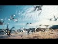 Antha Vinnil Aanantham Intha Mannil Aanantham Tamil Status Song