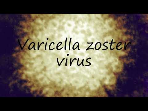 How to Pronounce Varicella zoster virus?