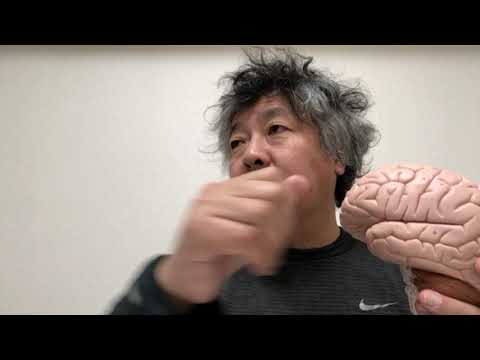 Why starting small is important in Ikigai