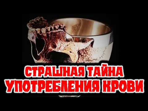 Страшная тайна употребления крови | Раввин Михаил Финкель