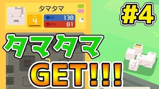 タマタマ ポケットモンスター カブトプス タタッコ キャモメ タマタマ ポケットモンスター カブトプス タタッコ キャモメ
