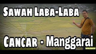 preview picture of video 'Sawah laba-laba | Spider web rice field - Cancar - Ruteng - Flores'