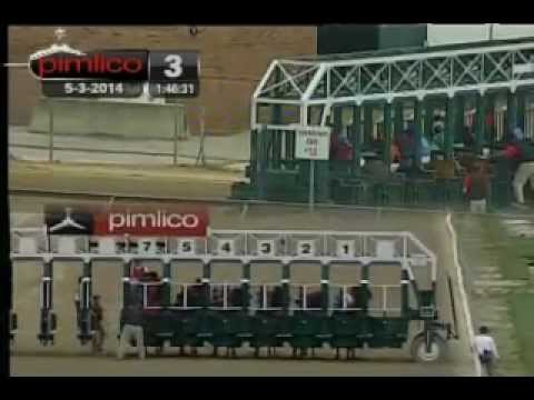 Pimlico 05/03/14 race 3
