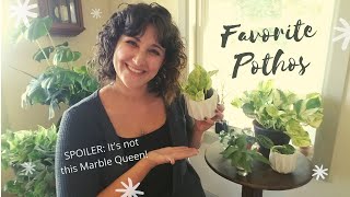 Subscriber Request: My Favorite Pothos