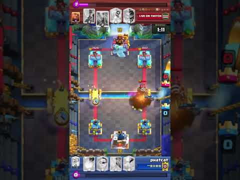 phatcat vs 上帝solo igna