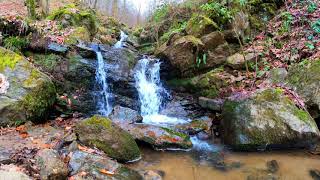 Natureza e liberdade   a vida em movimento