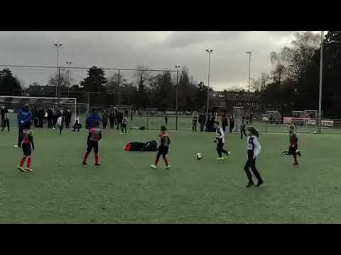 SDO JO8-1 - Zuidvogels