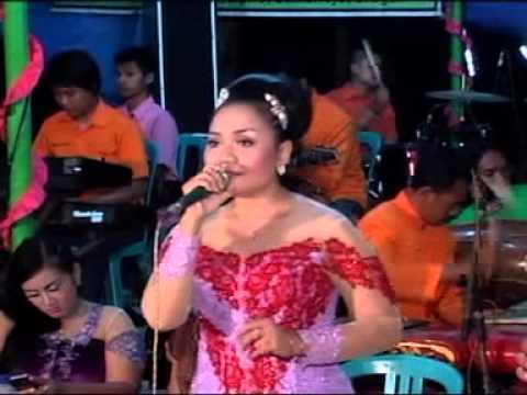 ojo cidro marsudi laras [kino]