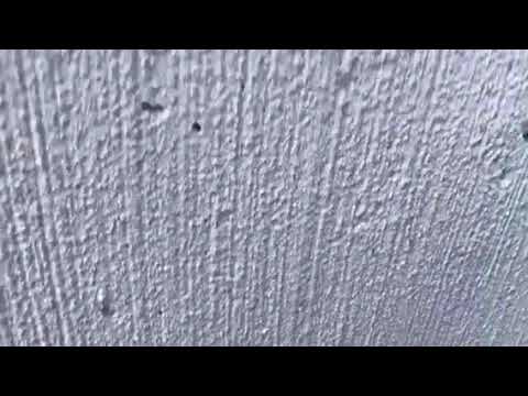 Ants follow the trail into Millstone Township, NJ home