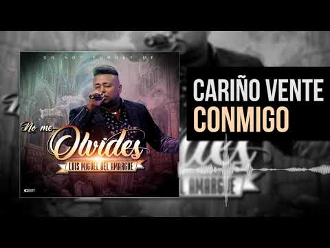 Luis Miguel del Amargue | Cariño Vente Conmigo | Nuevo Álbum No Me Olvides |  Bachata 2018
