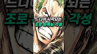 [ 원피스 최신 분석 ] 드디어 공개되는 조로의 왼쪽 눈, 극한의 견문색을 각성하고 사황의 구도를 바꾸는 롤로노아 조로
