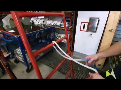 Mastwurf (gestochen)