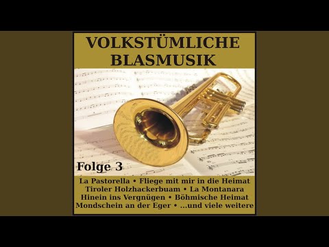 Tiroler Holzhackerbuam