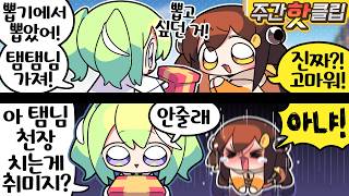 【 탬탬버린 / 12월 5주차 하이라이트! 】 - 12월 5주차에 있었던 핫클립들을 모아놓은 주간핫클립!