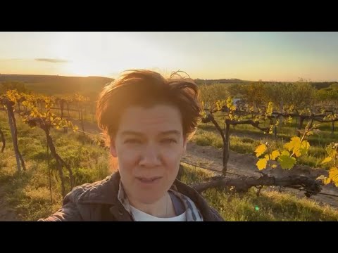 Kapela Terrible 2s vydává nové album „Dotýkať sa oblakov“