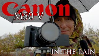 Canon R50 V in the rain and some wildlife 📷