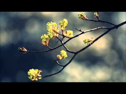 ▶ Dj Vag - UDS (HQ)