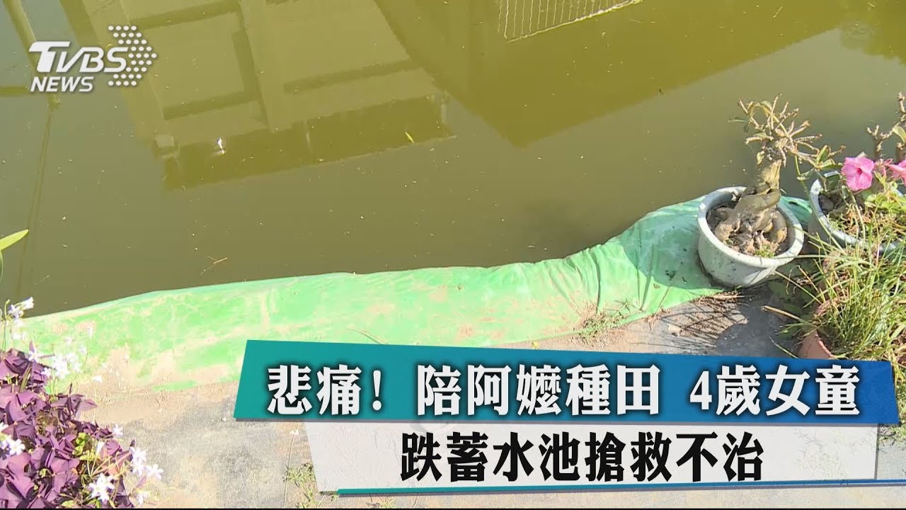 悲痛！陪阿嬤種田　4歲女童跌蓄水池搶救不治