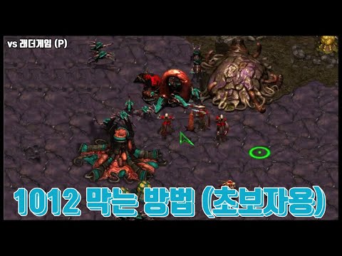 [ZvP] How to Defend 10/12 Gateway - "For Beginners"