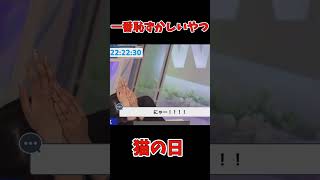 一番恥ずかしい"にゃーん"を披露するお天気お姉さん#岡本結子リサ #ウェザーニュース #猫の日