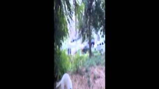 Happy Birthday Michael Jackson, Dinah Washington & Charlie