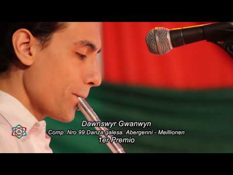 2015 Comp. 99 Primer premio - Dawnswyr Gwanwyn
