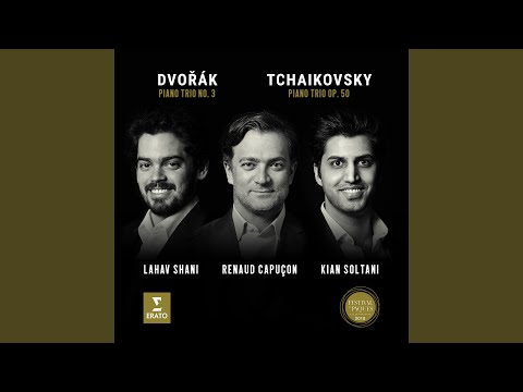 Piano Trio No. 3 in F Minor, Op. 65, B. 130: I. Allegro ma non troppo (Live)