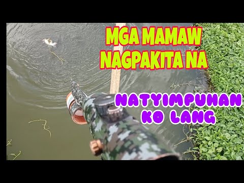 MGA MAMAW NAGPAKITA NA/SHOUT OUT TIKSAY FISH HUNTING