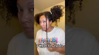 Totally worth the 4 hours #curlyhair #naturalhair #protectivestyles #twists