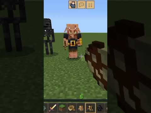 2 wither skeleton vs piglin brute #shorts