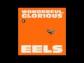 Eels - "Bombs Away" from Wonderful Glorious ...