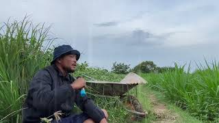Khói thuốc đợi chờ full bài cover anh nông dân 