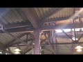 Ceiling Fans At Animal Kingdom 2