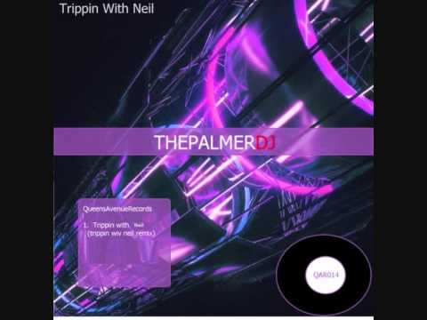 The Hollow Triangles   Trippin With Neil The Palmer DJ Remix