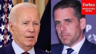 &#39;What Does That Smoking Gun Look Like?&#39;: Professor Outlines How To Tie Up Hunter Biden Investigation