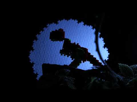 Plus Plus konstruktorius Dinozaurai video