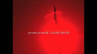 Primordial Undermind - Never At A Loss