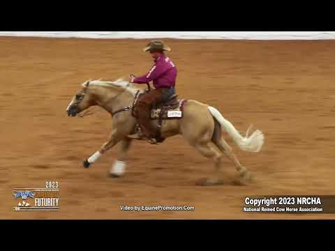 SJR Talkin Diamonds shown by Corey D Cushing - 2023 Snaffle Bit Futurity Open Bridle, prelims