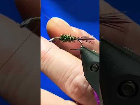 Halfback Nymph Classic Fly Pattern Fly Tying Tutorial
