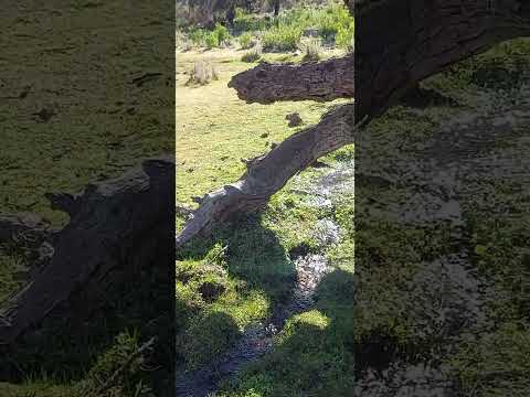 Sintiéndome en paz. Nogolí, San Luis.
