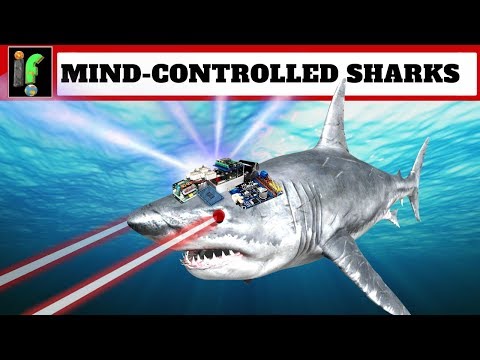 Shark Attack. The Israeli  Mind-controlled sharks