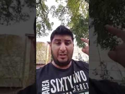 Walter Ioniță - dedicație rosolvet boieru'