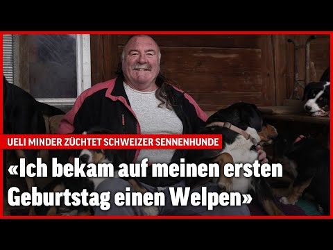 Ueli Minder (70) züchtet Grosse Schweizer Sennenhunde | Wir sind Blick