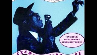 Tail Dragger & His Chicago Blues Band - Don't Trust No Woman