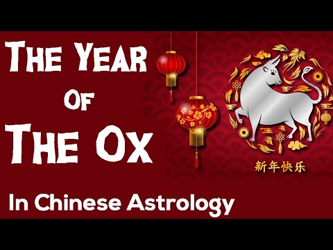 The Year Of The Ox - Chinese Astrology - Chinese New Year 2021