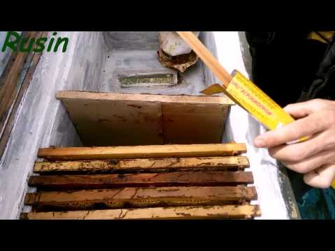 Пересадка пчелы в чистый улей, пасека весной